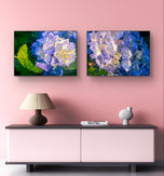Blue Hydrangea in Sunset Canvas Print Set of 2 | Authentic Nature Photography Wall Art | Horizontal Unframed Canvas | Biophilic Home Décor