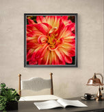 Red Dahlia with Raindrops Nature Macro Photography Canvas Set | 6 Square Prints | Botanical Wall Art