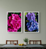 Purple & Pink Hydrangea Closeup Photography Unframed Canvas Set of 4 Prints | Modern Nature Wall Art for Home Office Decor | Elegant Gift