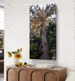 Summer Tree in Sunset | Authentic Nature Closeup Photography | Gallery Wrapped Canvas Vertical Print | Biophilic Wall Art for Home Decor
