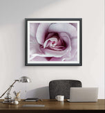 Purple Rose Authentic Macro Photography Horizontal Print | Unframed Canvas Wall Art | Modern Nature Home & Office Decor