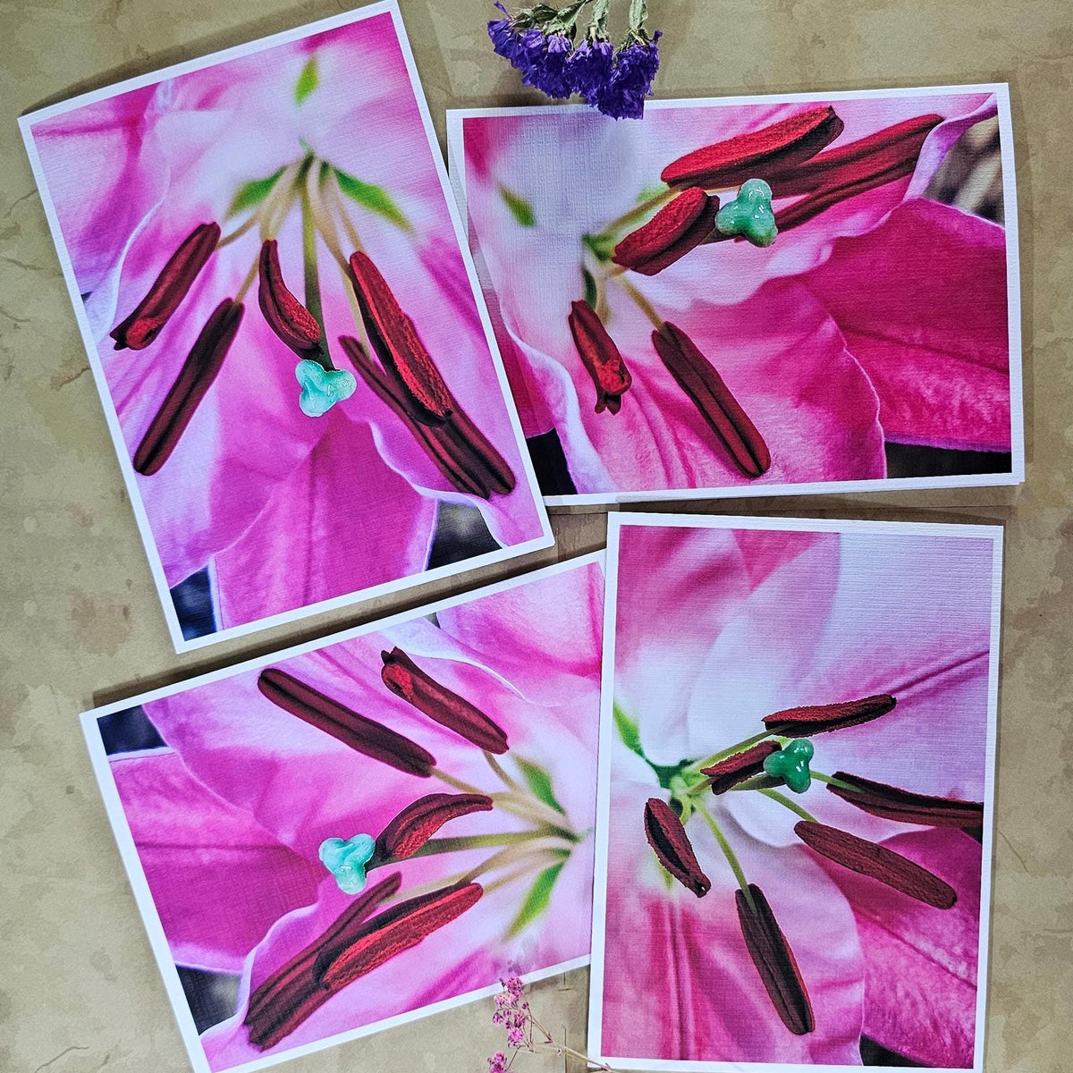 Pink Lily Flowers Original Photo Art Greeting Cards with Envelopes-Floral 4 Cards Set-Blank Note Card 5 x 7in-Spring Nature Lovers Gift Set