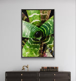 Vibrant Succulent Plants Authentic Closeup Photography Wall Art | Vertical Unframed Canvas Prints Set of 3 | Biophilic Home Office Décor