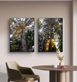 Forest Trees in Sunset Unframed Canvas Vertical Print Set of 2 | Authentic Nature Photography Wall Art | Biophilic Home Office Decor