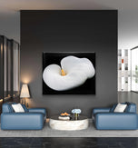 White Lily Flower Wrapped Canvas Print | Authentic Nature Closeup Photography | Modern Wall Art for Home Office Décor | Horizontal Picture
