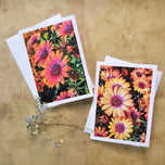 Spring Flowers Original Photo Art Greeting Cards with Envelopes-Floral 4 Cards Set-Vertical Horizontal Blank Note Cards-Spring Season Gift