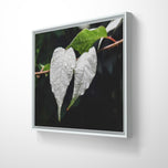 White Leaves with Raindrops Macro Photography Print | Horizontal Framed Canvas for Modern Wall Art Decor