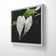 White Leaves with Raindrops Macro Photography Print | Horizontal Framed Canvas for Modern Wall Art Decor