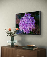 Purple Hydrangea Blossom | Authentic Closeup Photography Print | Unframed Canvas Horizontal Print | Biophilic Floral Wall Art