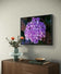 Purple Hydrangea Blossom | Authentic Closeup Photography Print | Unframed Canvas Horizontal Print | Biophilic Floral Wall Art