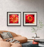 Red Dahlia with Raindrops Nature Macro Photography Canvas Set | 6 Square Prints | Botanical Wall Art