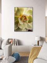 Spring Yellow Succulent Plant  | Nature Macro Photography Print |  Vertical Gallery Wrapped Canvas | Biophilic Style Wall Art