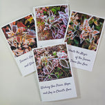 Winter Frost Covered Leaves Original Photography Greeting Cards | Blank Note Cards Set of 4 with Envelopes | 5" × 7" Canvas Paper