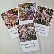 Winter Frost Covered Leaves Original Photography Greeting Cards | Blank Note Cards Set of 4 with Envelopes | 5" × 7" Canvas Paper