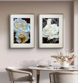 Pale Cream White Rose Canvas Prints Set of 4 | Authentic Nature Closeup Photography | Unframed Botanical Wall Art | Modern Home Office Decor | Vertical & Horizontal Orientations
