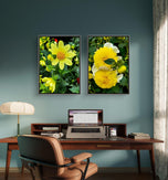 Yellow Dahlia Flowers Closeup Photography Unframed Canvas Set of 4 Prints - Modern Nature Wall Art for Home Office Decor