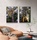 Forest Trees in Sunset Unframed Canvas Vertical Print Set of 2 | Authentic Nature Photography Wall Art | Biophilic Home Office Decor