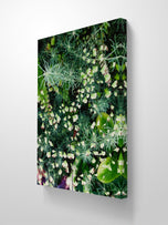 Gallery Wrapped Canvas Wall Art | Lash Green Foliage Closeup Authentic Photography Print | Biophilic Style Home & Office Décor