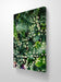 Gallery Wrapped Canvas Wall Art | Lash Green Foliage Closeup Authentic Photography Print | Biophilic Style Home & Office Décor