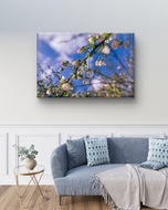 White Spring Blossom with Raindrops | Macro Floral Photography on Horizontal Wrapped Canvas | Modern Botanical Wall Art for Home & Office Décor