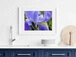Digital 5 Prints 2x3, 3x4, 4x5, 5x7, 11x14 Ratios | Purple Iris Flower Authentic Macro Photography | Instant Download for Home Wall Art Decor & Multi-Device Wallpapers