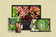 Digital 7 Prints 3x4 Ratio | Vibrant Succulent Plants Authentic Macro Photography | Instant Download for Home Wall Art Décor & Multi-Device Wallpapers