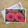 Spring Flowers Original Photo Art Greeting Cards with Envelopes-Floral 4 Cards Set-Vertical Horizontal Blank Note Cards-Spring Season Gift