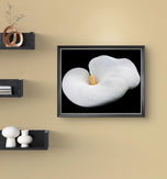 White Lily Flower Closeup Photography Unframed Canvas Print - Modern Floral Wall Art for Home Office Decor