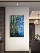 Tranquil Birch Trees by Mountain Lake | Authentic Nature Photography | Vertical Gallery Wrapped Canvas | Living Room, Office, or Cabin Wall Art