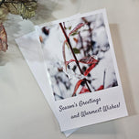Winter Snowy Foliage Original Photography Greeting Cards | Blank Note Cards Set of 4 with Envelopes | 5.5" × 8.5" Gloss Paper