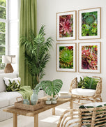Digital 7 Prints 3x4 Ratio | Vibrant Succulent Plants Authentic Macro Photography | Instant Download for Home Wall Art Décor & Multi-Device Wallpapers