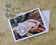 Greeting / Note Cards with Envelopes Featuring White Magnolia Flowers Original Closeup Photography | Blank 6 Cards Set – 7” x 5” | Nature Lover Gift