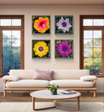 Vibrant Flowers with Raindrops Photography | Set of 4 Square Unframed Canvas Prints | Nature Wall Art for Home & Office