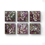 White Spring Flowers with Raindrops Macro Photography | Unframed Canvas Square 6 Prints Set | Modern Gallery Wall Art Decor