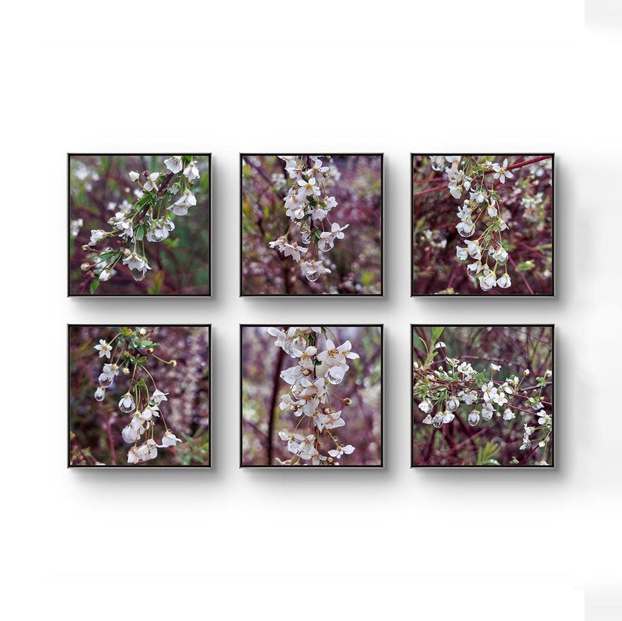 White Spring Flowers with Raindrops Canvas Gallery  Wall Art Set of 6