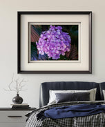 Purple Hydrangea Blossom | Authentic Closeup Photography Print | Unframed Canvas Horizontal Print | Biophilic Floral Wall Art