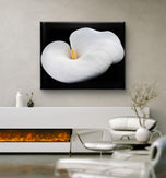 White Lily Flower Wrapped Canvas Print | Authentic Nature Closeup Photography | Modern Wall Art for Home Office Décor | Horizontal Picture