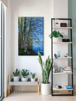 Tranquil Birch Trees by Mountain Lake | Authentic Nature Photography | Vertical Gallery Wrapped Canvas | Living Room, Office, or Cabin Wall Art