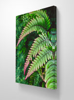 Gallery Wrapped Canvas Wall Art | Lash Green Foliage Closeup Authentic Photography | Biophilic Style Home & Office Décor