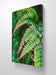 Gallery Wrapped Canvas Wall Art | Lash Green Foliage Closeup Authentic Photography | Biophilic Style Home & Office Décor