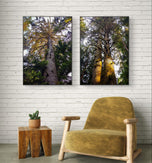 Forest Trees in Sunset Unframed Canvas Vertical Print Set of 2 | Authentic Nature Photography Wall Art | Biophilic Home Office Decor