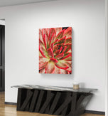 Red Succulents with Raindrops | Macro Photography Print | Vertical Gallery Wrapped Canvas Wall Art for Home & Office