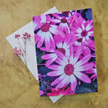 Vibrant Summer Flowers Greeting Cards 5x7 in with Envelopes | Original Floral Photography Art | Blank Note Cards Set of 4