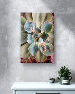 Gallery Wrapped Canvas Featuring Macro Photography of Green Succulents | Biophilic Style Vertical Wall Art for Home & Office Décor