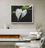White Leaves with Raindrops Macro Photography Print | Horizontal Framed Canvas for Modern Wall Art Decor
