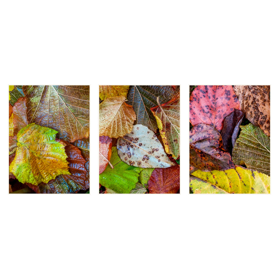Layered Autumn Leaves in Gold, Pink and Green