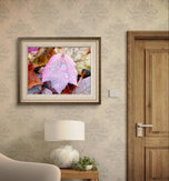 Autumn Colorful Leaves with Raindrops Canvas Print | Authentic Macro Photography | Unframed Horizontal Print | Biophilic Wall Art Décor