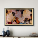 Autumn Leaves with Raindrop Authentic Macro Photography Horizontal Print | Unstretched Canvas Wall Art | Biophilic Style Nature Decor
