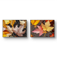 Autumn Leaves with Raindrops Authentic Macro Photography | Unstretched Canvas Horizontal Prints Set of 2 | Biophilic Nature Wall Art Décor
