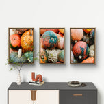 Autumn Pumpkin Canvas Set of 3 - Authentic Closeup Photography - Unstretched Vertical Prints - Biophilic Home Wall Art - Fall Harvest Decor